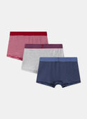 Lot de 3 boxers Camion  en jersey MLIBOXAGE / 25E5PG42BOX201