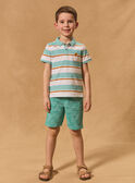 Polo Rayé Turquoise MLERAYAGE 2 / 25E3PGT3POL001