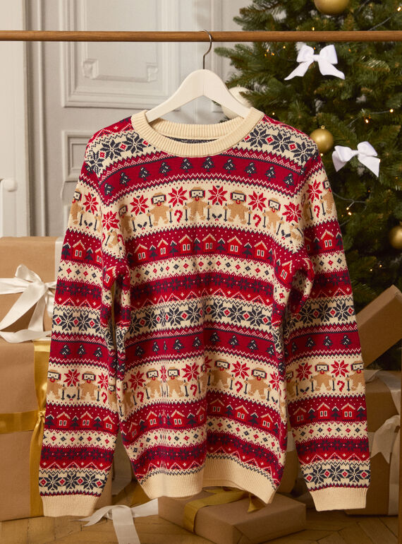 Pull Pain d'Epice Homme LEDULAGEM / 24H3GHG1PULA002