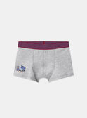 Lot de 3 boxers Camion  en jersey MLIBOXAGE / 25E5PG42BOX201