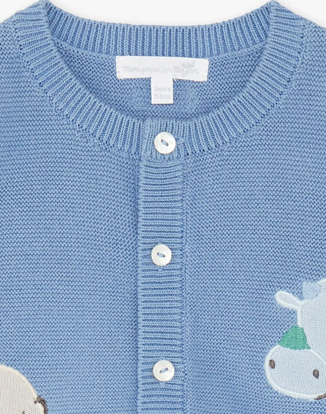 Cardigan Bleu En Tricot Bebe Garcon Collection 0 12 Mois Naissance Sergentmajor
