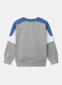 Sweat-shirt gris imprimé ours Garçon NOURSAGE / 25H3PGP1SWE943