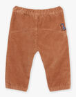 Pantalon en velours côtelé marron DASCOTT / 22H1BGY1PAN804