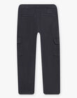 Pantalon cargo gris foncé DIPANTAGE2 / 22H3PGQ3PANJ903