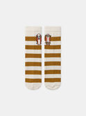 Chaussettes rayées avec skateboard MASOCAGE / 25E4PG71SOQ114