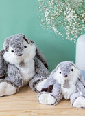 Doudou lapin Marius 30 cm LAPIN MARIUS / 12PJPE001MPE999