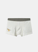 Lot de 5 boxers Dino  en jersey MLIMAINAGE / 25E5PG41BOX626