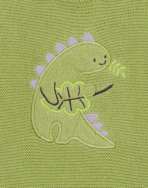 Pull kaki clair en tricot à broderie dinosaure FAOFLO / 23E1BGO1PUL612