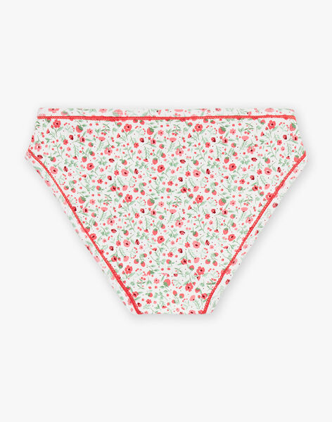 Lot de 3 culottes assorties en coton biologique FLOCAETTE / 23E5PFH1SLI309