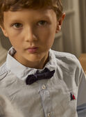 Chemise Sapin LEDICHAGE / 24H3PGT1CHM020