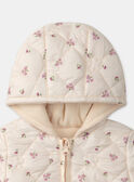 Veste Beige LIMATHILDE / 24H1BF61VES080