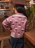 Pull Parme LUPULETTE / 24H2PFM1PUL320