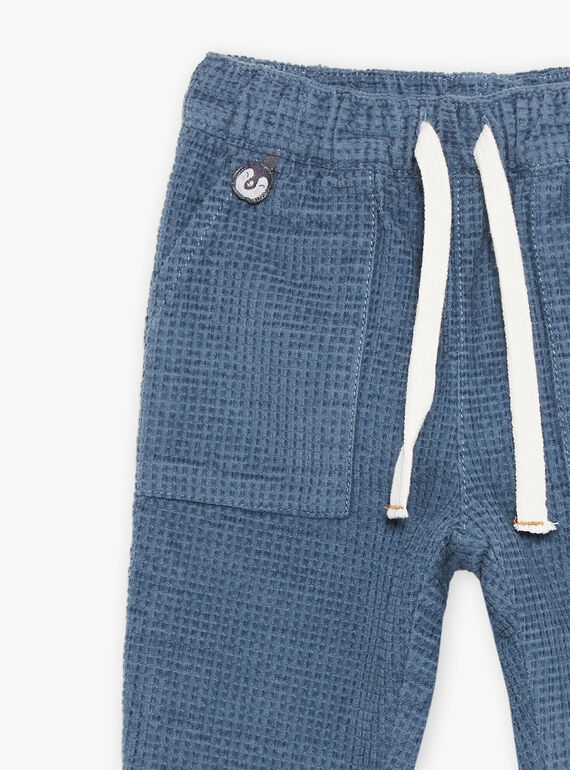 Pantalon en velours côtelé bleu gris DASECTOR / 22H1BGY2PAN205