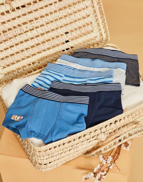 Lot de 5 boxers en coton biologique DEMAINAGE / 22H5PG41BOX705