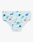 Maillot de bain couche ciel à imprimé marin FISAIF / 23E4BGM1MM1020
