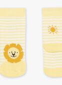 Chaussettes écrues à rayures jaune Jacquard lion FAARNOLD / 23E4BG82SOQ001