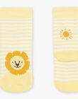 Chaussettes écrues à rayures jaune Jacquard lion FAARNOLD / 23E4BG82SOQ001