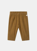Pantalon en velours côtelé MAAXEL / 25E1BG71PAN812