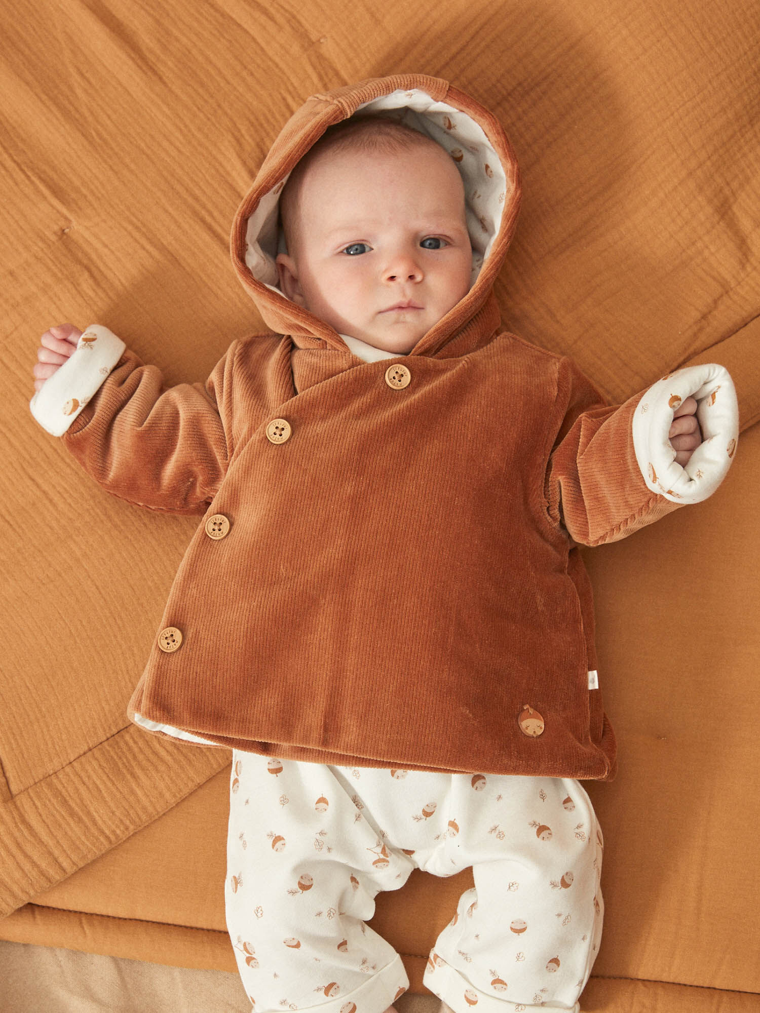 Veste naissance top