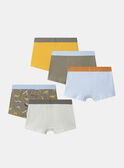 Lot de 5 boxers Dino  en jersey MLIMAINAGE / 25E5PG41BOX626