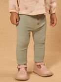 Legging côtelé MAILONA / 25E1BF91LGG600
