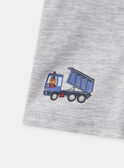 Lot de 3 boxers Camion  en jersey MLIBOXAGE / 25E5PG42BOX201
