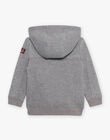 Gilet à capuche gris DESIPAGE / 22H3PGF1GILJ922