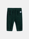 Pantalon Vert LAMAURICE / 24H1BGO2PANG625