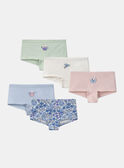 Lot de 5 boxers Lapin en jersey MLIPETTE / 25E5PF41SHYA016