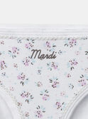 Lot de 5 culottes imprimées ou uni Fille NEJAZETTE / 25H5PFC4SLR301