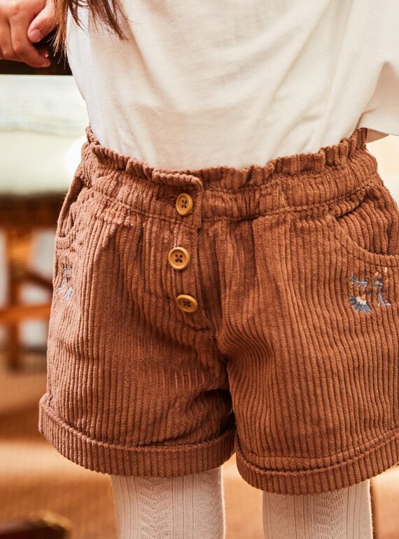 Short brun en velours DIASHOETTE / 22H2PFY1SHOI802