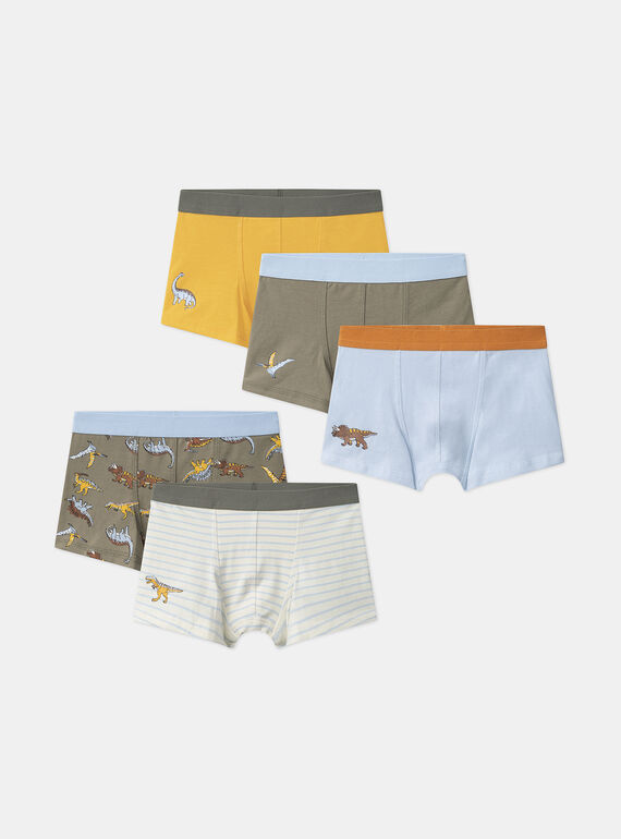 Lot de 5 boxers Dino  en jersey MLIMAINAGE / 25E5PG41BOX626