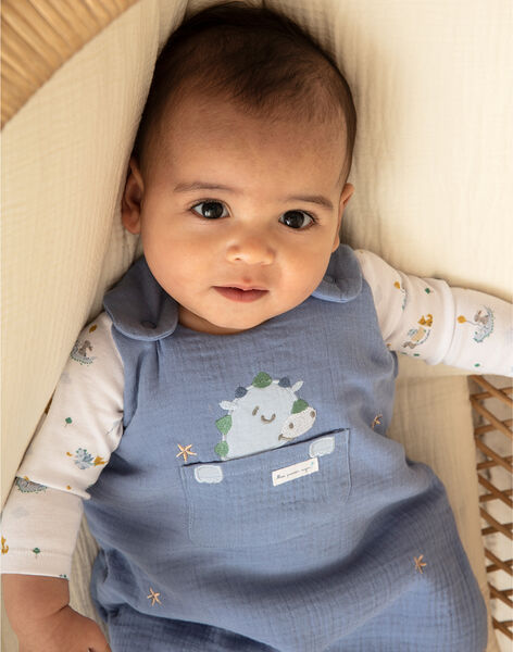 Ensemble Salopette Body Tee Shirt Et Bavoir Bebe Garcon Collection 0 12 Mois Naissance Sergentmajor