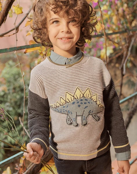 Pull tricot motif dinosaure enfant garçon CATRICAGE / 22E3PGB1PUL943
