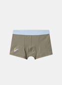 Lot de 5 boxers Dino  en jersey MLIMAINAGE / 25E5PG41BOX626