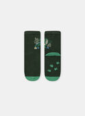Chaussettes vertes dinosaure  NICHOSAGE / 25H4PGS1SOQG633