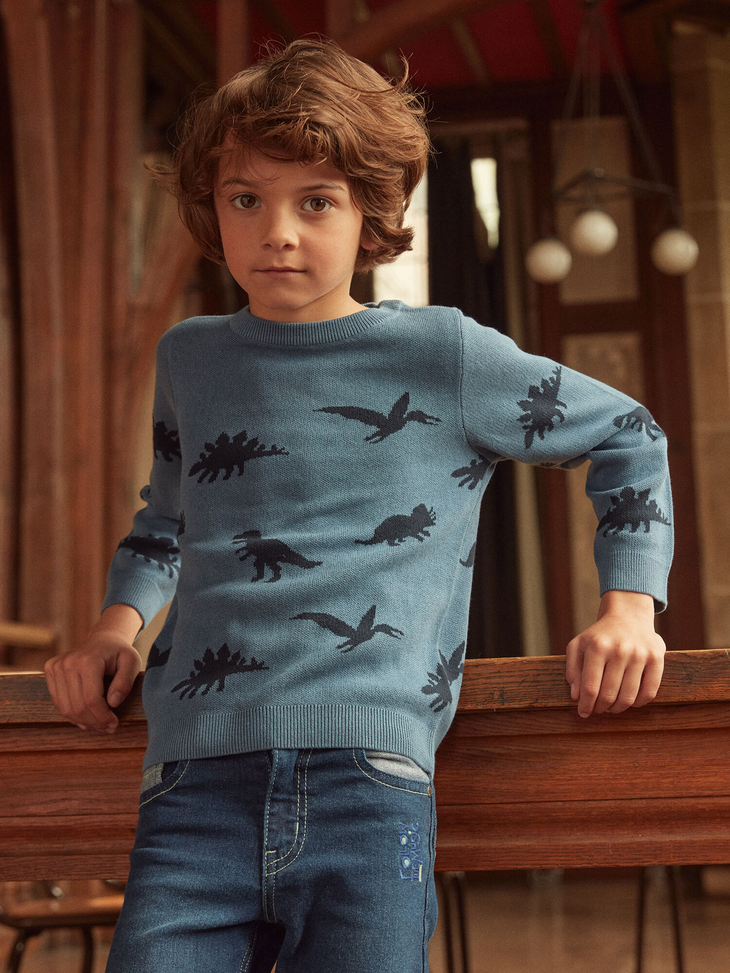 Pull dinosaure garcon on sale