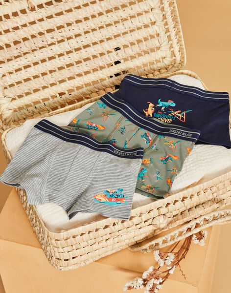 Lot de 3 boxers en coton biologique DEBOXAGE / 22H5PG42BOX943