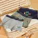 Lot de 3 boxers en coton biologique