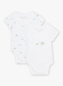 Lot de 2 bodys assortis tortues naissance mixte COROL / 22E0NMI1BOD000