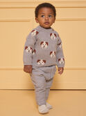 Pull jacquard chiens LAOREL / 24H1BGQ1PUL943