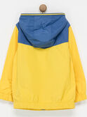 Blouson bicolore à capuche NABLOUFAGE / 18E3PGF2BLO010