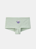 Lot de 5 boxers Lapin en jersey MLIPETTE / 25E5PF41SHYA016