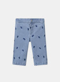 Pantalon brodé fleurs MADIANE / 25E1BF81PANP272