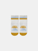 Chaussettes jacquard mer MAMIMI / 25E4BGK1SOQ001
