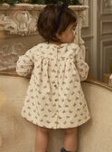 Robe en velours côtelé imprimé  LATRISHA / 24H1BFT1ROB005