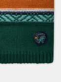 Snood en maille  LIONECAGE / 24H4PG81SNO070