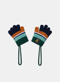 Gants en maille LIOGANAGE / 24H4PG81GAN070
