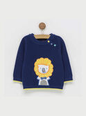 Pull bleu marine RAEDOU / 19E1BGC1PUL713