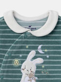 Dors-bien en velours lapin LECESAR / 24H5BG42GREG614